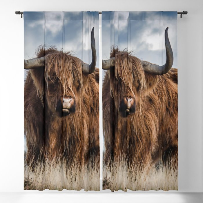 Scottish Highland Cow | Scottish Cattle | Cute Cow | Cute Cattle 06 Blackout Curtain