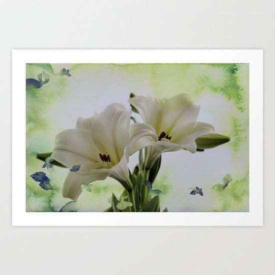 White Lily Art Print