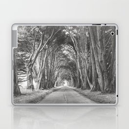 Cypress Tree Avenue - Travel Photography Laptop Skin