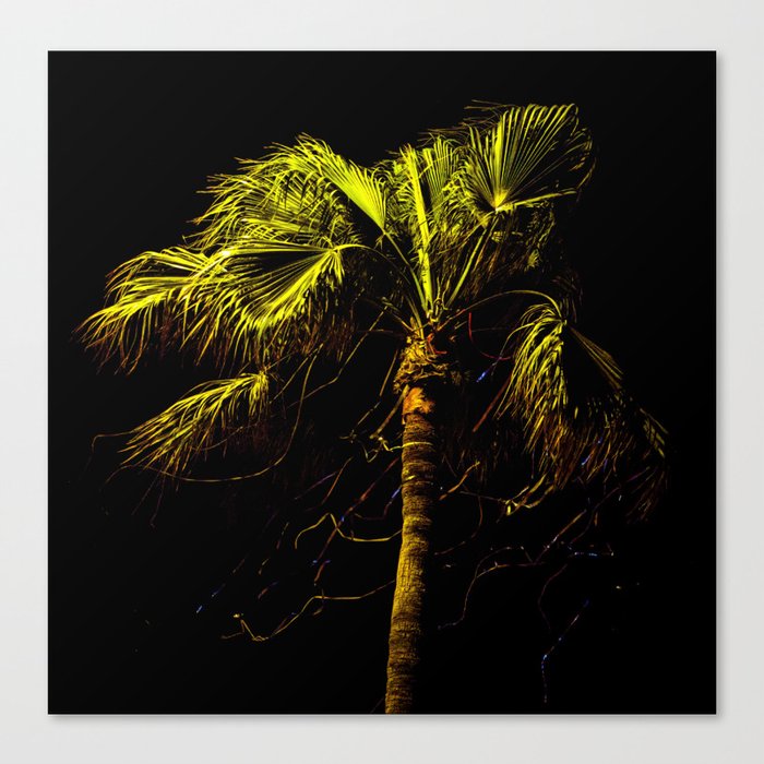 Dancing Palmtree Canvas Print