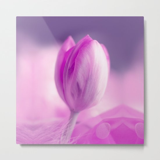 SPRING BEAUTY Metal Print