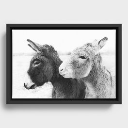 Donkey Love Framed Canvas