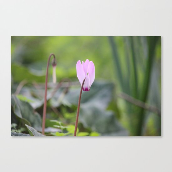 Flourishing Canvas Print