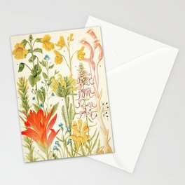 Wildflowers from "Rocky Mountain Flowers" (1914) by Edith Clements (benefitting The Nature Conservancy) Stationery Card