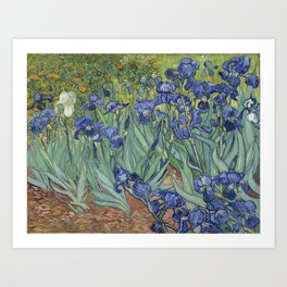 Van Gogh's Irises (High Resolution) Art Print