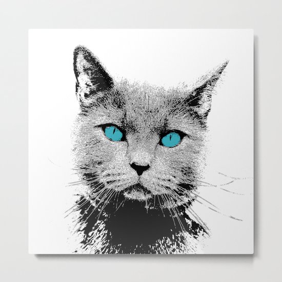 CAT 2 Metal Print