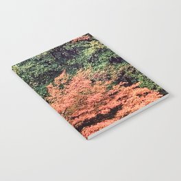 Leaves design Notebook