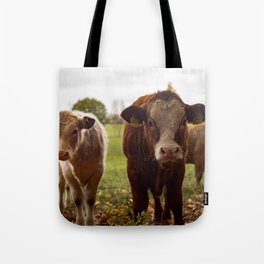 Brown Cows in Farm Tote Bag
