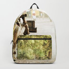 Bikaner, India. Backpack