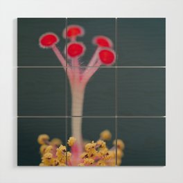 Sweet Song of Hibiscus Wood Wall Art