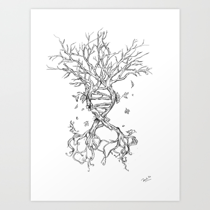 society6
