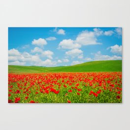 Bright Color Flower Field in Tuscany Italy Canvas Print