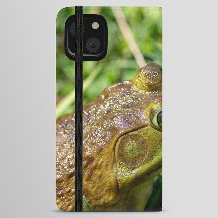 Green Frog closeup iPhone Wallet Case