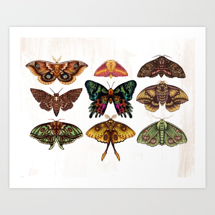 Art Print