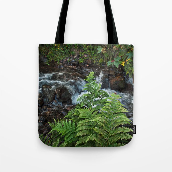 Ferns, Wahkeenah Falls, Columbia River Valley, Portland, Oregon Tote Bag