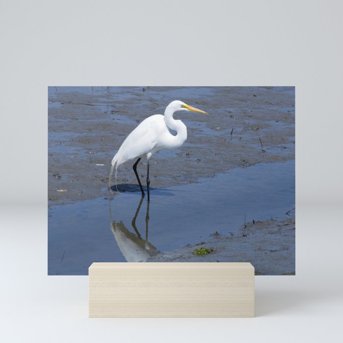 White Bird Mini Art Print