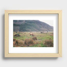 Lost Coast Elk Recessed Framed Print