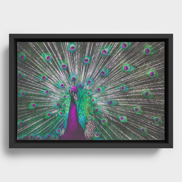 Psychedelic Peacock Framed Canvas