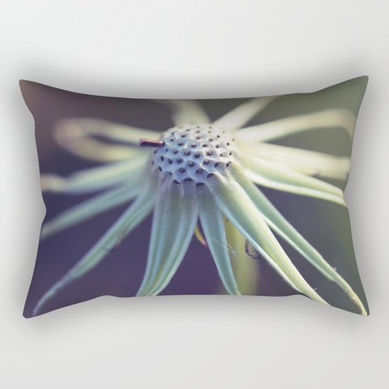 Circular Rectangular Pillow