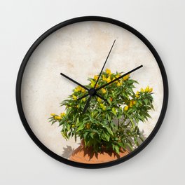 Greek Still Live | Plant in Terra Pot | Peper Yellow Green Bush | Sunny Summer Travel Photography Wall Clock