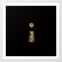 Bear Jew Art Prints For Any Decor Style Society6