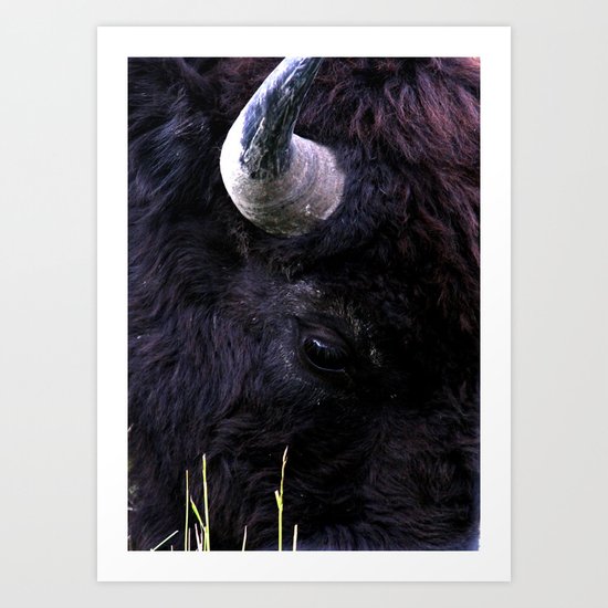 Keeping An Eye on You Art Print
