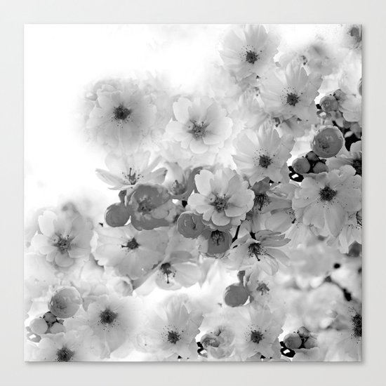 CHERRY BLOSSOMS IN BLACK AND WHITE Canvas Print