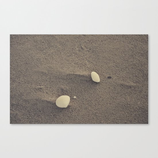 Toshell Beach Canvas Print