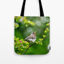 Thrush bird in spring Tote Bag