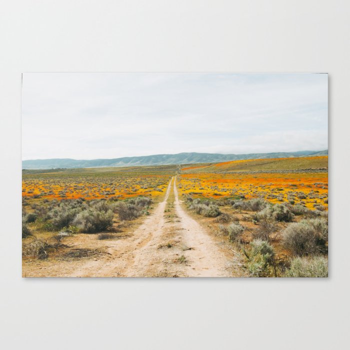Road Less Traveled Canvas Print