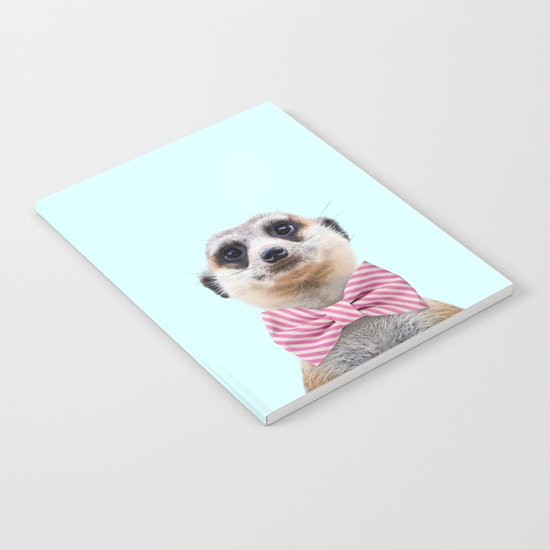 MEERKAT Notebook