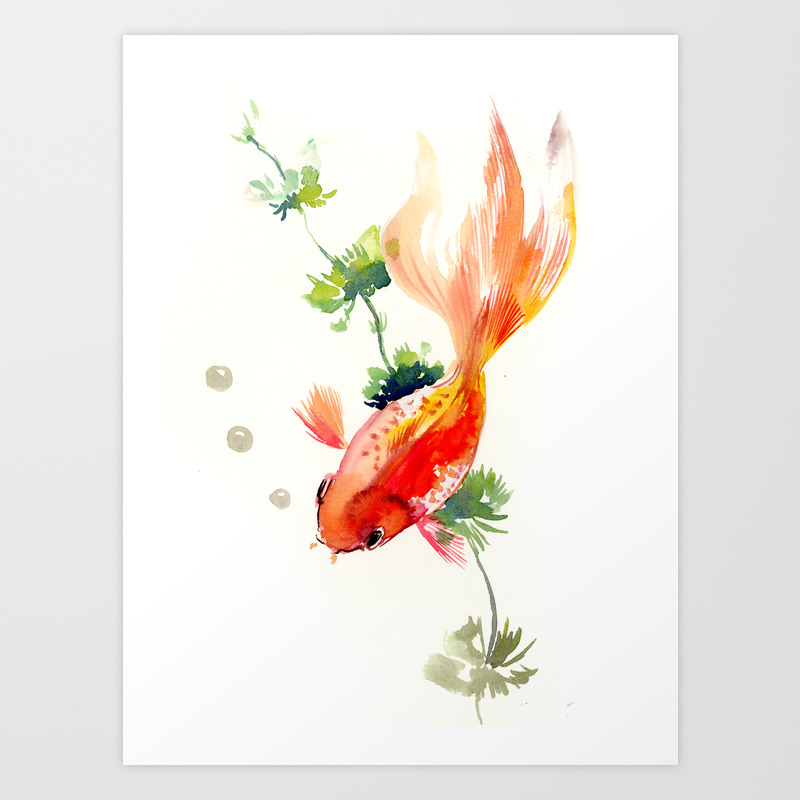 society6