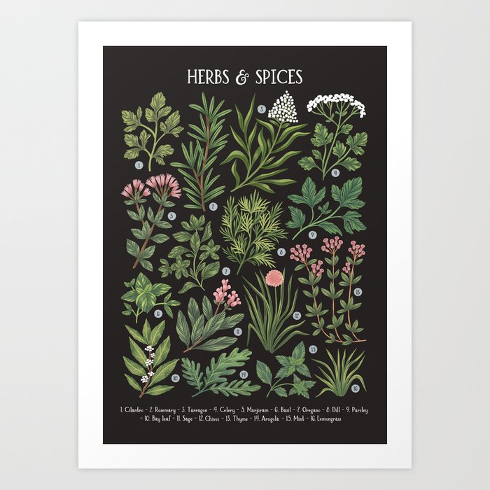 Herbs & Spices - dark Art Print
