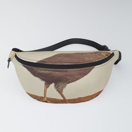 Vintage Print - Birds and Nature (1903) - American Dipper or Water Ouzel Fanny Pack