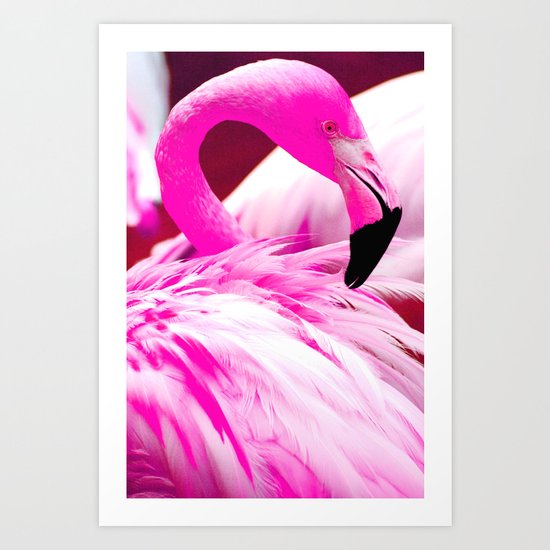 Fashion Flamingo Art Print