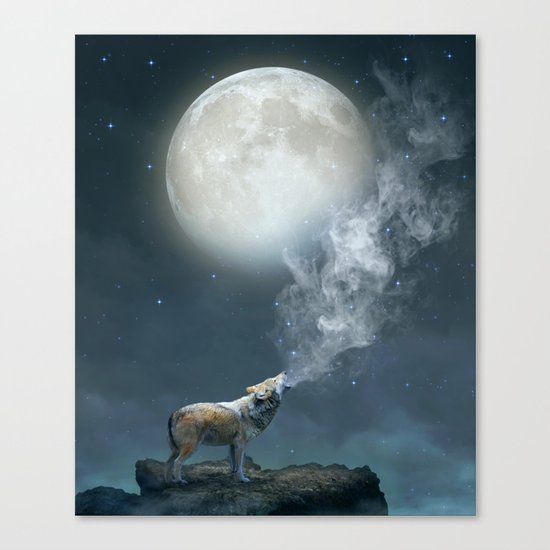 The Light of Starry Dreams Canvas Print