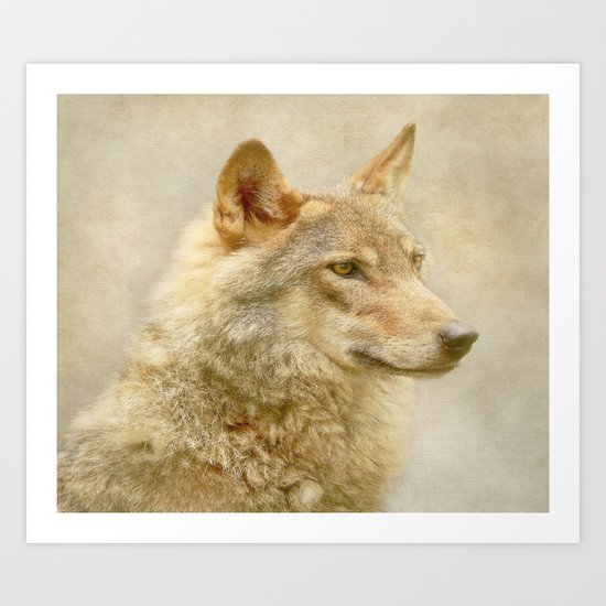 Wolf Art Print