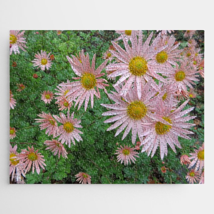 Pink flowers Jigsaw Puzzle