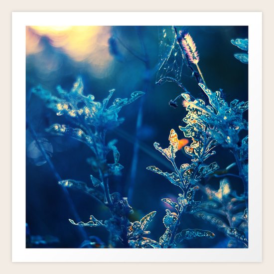 Lost Magic Art Print