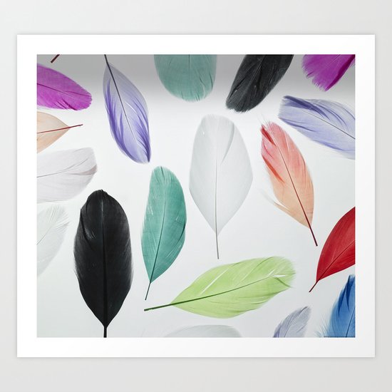 Feathers Art Print