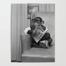Dad on a Good Day - Chimpanzee Father reading the New York Times black and white photograph Poster