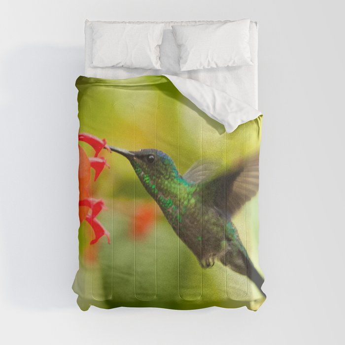 Brazil Photography - A Beautiful Green Humming Bird In Brazil Comforter