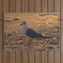 Sunset Seagull  Outdoor Rug