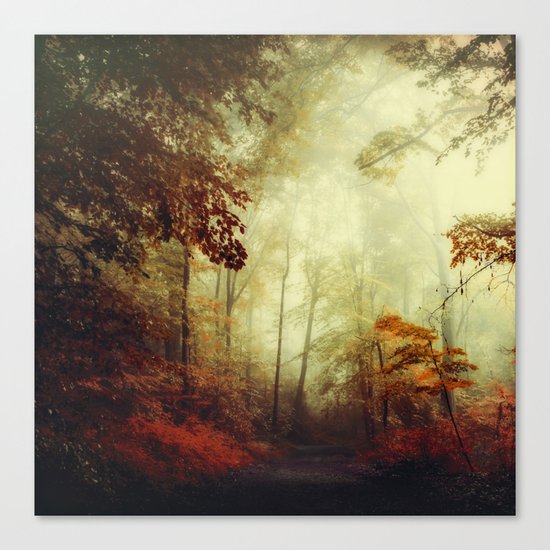 That's not my way - misty woodland Canvas Print