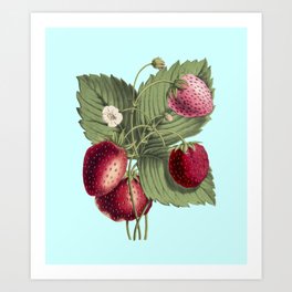 Hand Drawn Strawberry on Pastel Teal Background Art Print