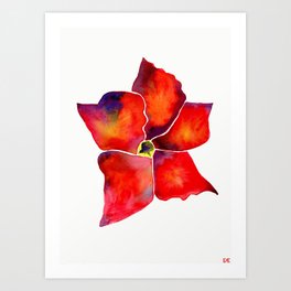 Hibiscus Flower Art Print