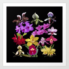 Orchid Flower Art Prints For Any Decor Style Society6