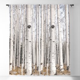 Trees of Reason - Birch Forest Blackout Curtain