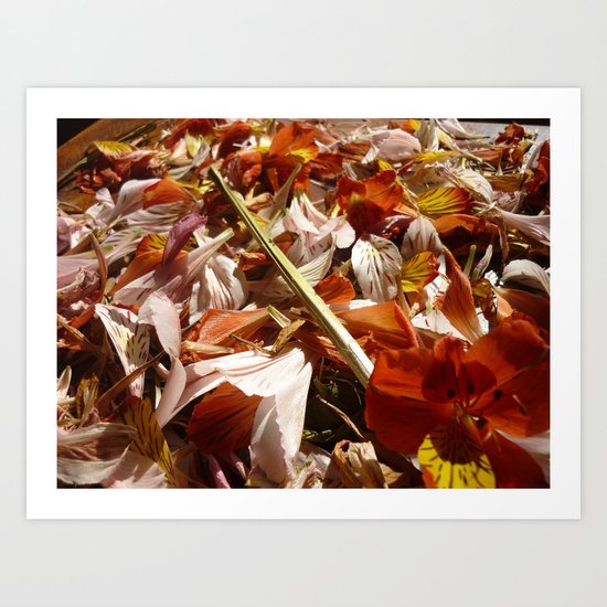 Flowers on a table Art Print