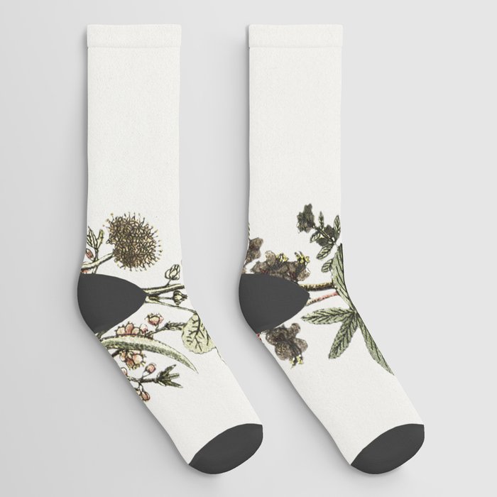 Botanical Frame Socks